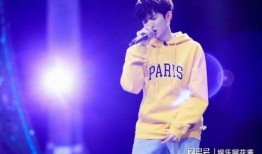 王源团队爆料视频大全,揭秘偶像成长之路