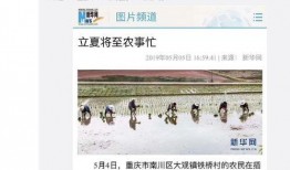 南川中学爆料新闻事件视频,真相揭秘，校园风云再起