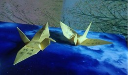 纸鹤在线观看,穿越时空的温暖守护